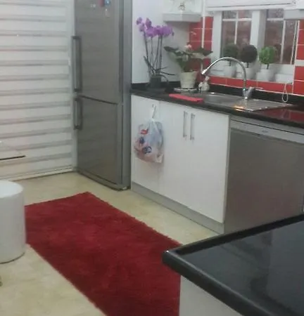 Villa Didim Villa *